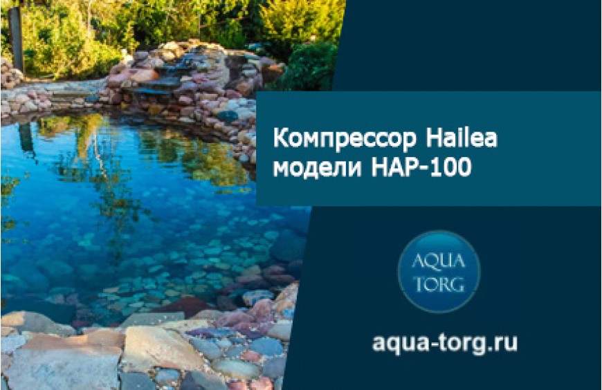 Компрессор Hailea модели HAP-100: сфера использования