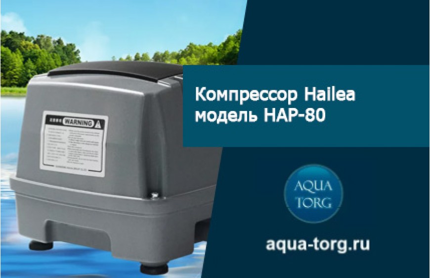 Компрессор Hailea модель HAP-80: сфера применения